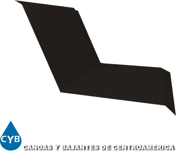 Botagua Pared Negro